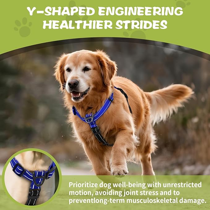 Dog Harness,Adjustable No Pull Dog Harness,Y-Shaped Design,Buckle-Neck Balance Harness with Reflective, Ideal for Dog Training Hiking, Easy Walk Harness,Durable High-Tensile Nylon-Blue-M