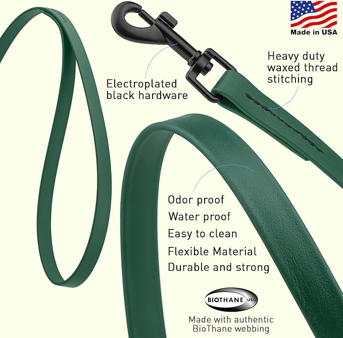 Dogline Biothane Waterproof Dog Leash Strong Coated Nylon Webbing with Black Hardware Odor-Proof Easy to Clean High Performance for Small or Large Dogs Made in USA 2 ft Lead, Hunter Green