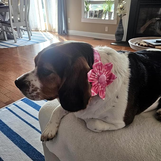 Lionheart Glory Dog Collar, Pink Dog Collar with Flower, Cute Floral Pattern Pet Collar Adjustable Pet Collar for Small Dogs