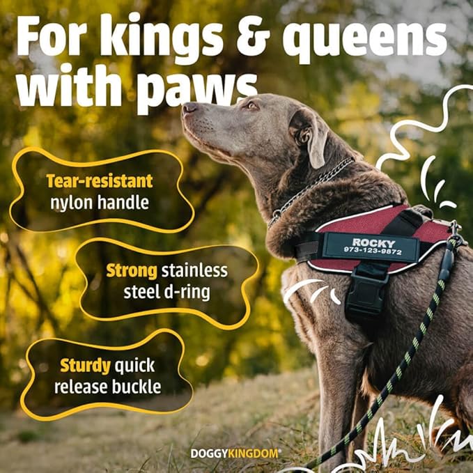 Personalized No Pull 360° LED Dog Harness with Custom Name Patches, USB Rechargeable, Adjustable, Reflective for Night Walks, Rainproof Module with 3 Modes Lasts up to 24h, Red,L