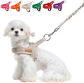 BEAUTYZOO Dog Harness for Small Dogs, No Pull Dog Harness and Leash Set, Soft Escape Proof Puppy Vest Harness with Handle, Reflective Lightweight Step in Harness for Girl Boy Dogs, Beige XS