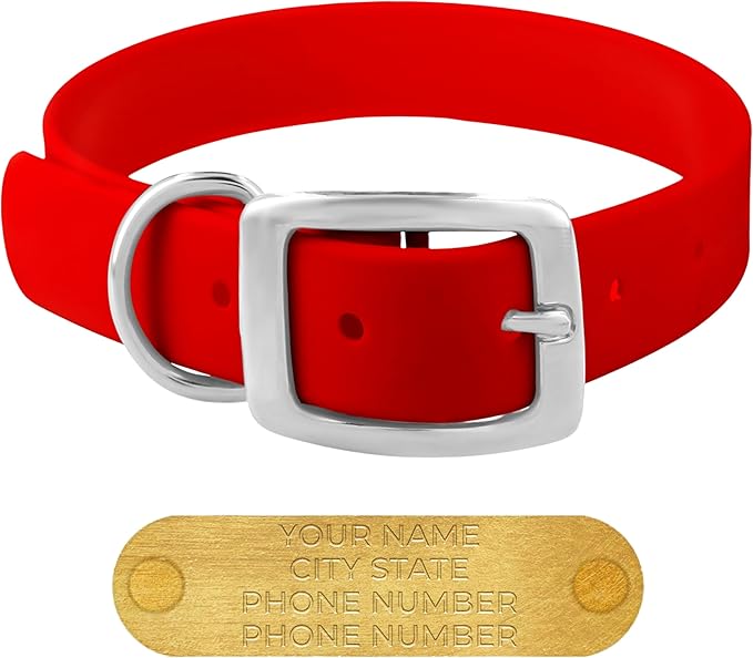 Regal Dog Products Medium Red Waterproof Dog Collars with Custom Engraved Name Plate | Vinyl Coated, Anti, Easy to Clean Personalized Biothane Dog Collar - Other Sizes for Small & Large Dogs