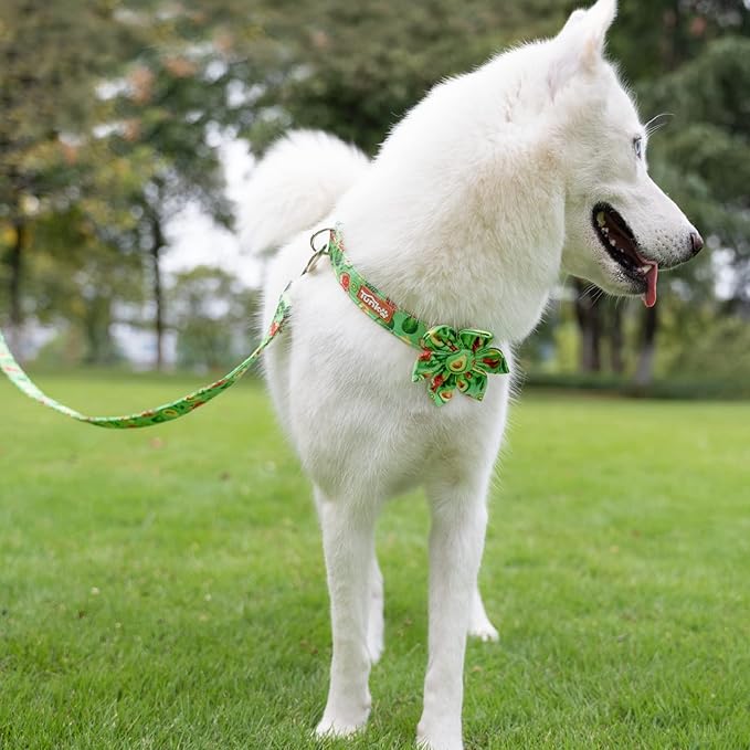 Tunkoo Dog Collar Avocado Floral Bow Tie Unique Style Super Soft Comfy Adjustable Cotton Collar with Premium Metal Buckle, for Puppy and Cat Small Medium Large Pet Supplies（Avocado，Flower, M）