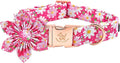 Elegant little tail Dog Collar with Flower, Dog Collar Flowers Pink Floral Girl Dog Collar Pet Gift Adjustable Dog Collar for X-Small Puppy
