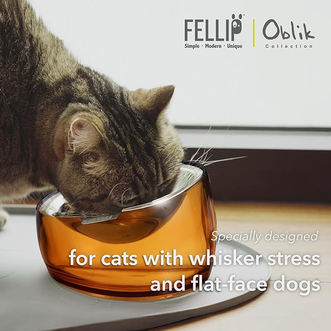 Felli Pet Oblik Whisker Fatigue Cat Food Bowl Raised Stainless Steel Shallow Dish, Pet Design Anti Vomit Tilted Metal Plate Feeder Elevated Acrylic Base for Treats Storage(Gold, 0.5 Cups Shallow Dish)