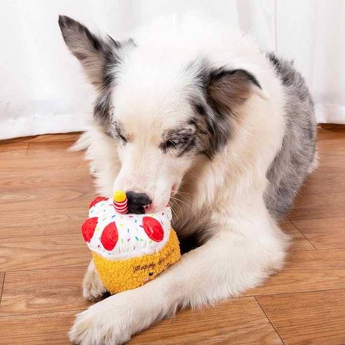 DODODOLA Squeaky Dog Toys Birthday Puppy Toys Cute Stuffed Plush Dog Toy to Keep Them Busy Gift for Small Medium Large Dogs