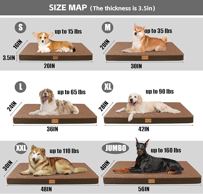 Patas Lague Orthopedic Dog Bed Large Sized Dog 36''X24'',Soft Waterproof Egg Crate Foam Medium Pet Crate Beds Mat with Removable Washable Cover and Non-Slip Bottom, Brown