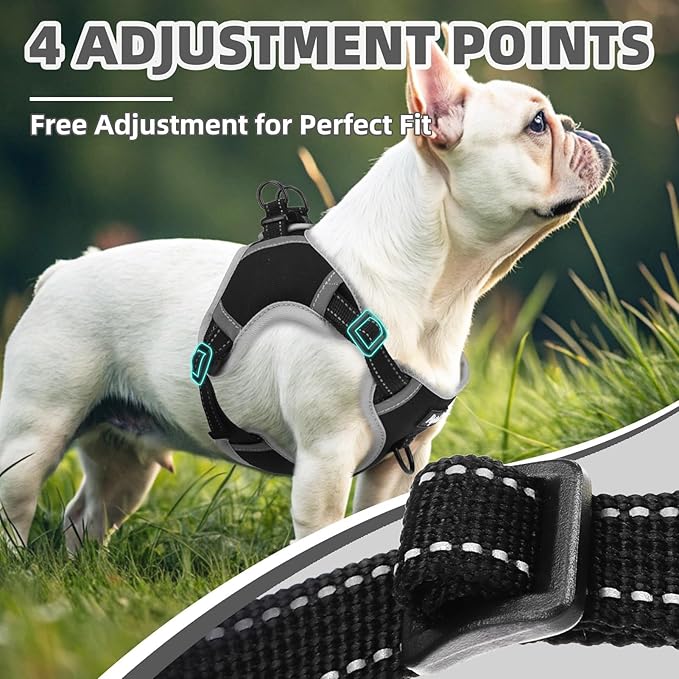 PUPTECK No Pull Dog Harness Small Sized Dog, Adjustable Reflective Escape Proof Easy Control, Comfortable Soft Padded Step in Pet Vest Harness, Black, S