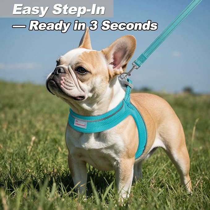 Dog Harness and Leash Set,Step in Small Sized Dog Harness,Soft Mesh,No-Chock,Reflective Adjustable,Secure with Hook & Loop Fastener,Puppy Vest for Small,Medium Dogs(Ocean Blue,XXXS)