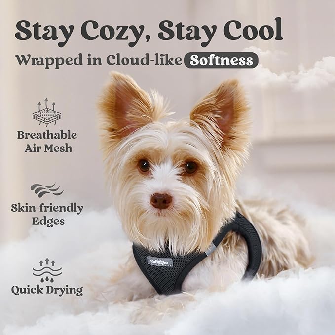 rabbitgoo Small Dog Harness, Step-in Soft Mesh Puppy Vest with Safety Buckle, Breathable Reflective Pet Harness for Extra Small Dogs, Black XXXS