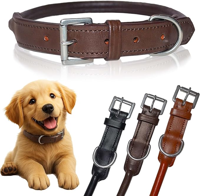 SIE Rolled Leather Dog Collars (16'', Brown)