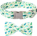 Lionet Paws Dinosaur Dog Collar with Bowtie, Cute Summer Beige Dog Collar for Girl for Small Dogs, Adjustable Cotton Pet Puppy Collars for Small Dogs