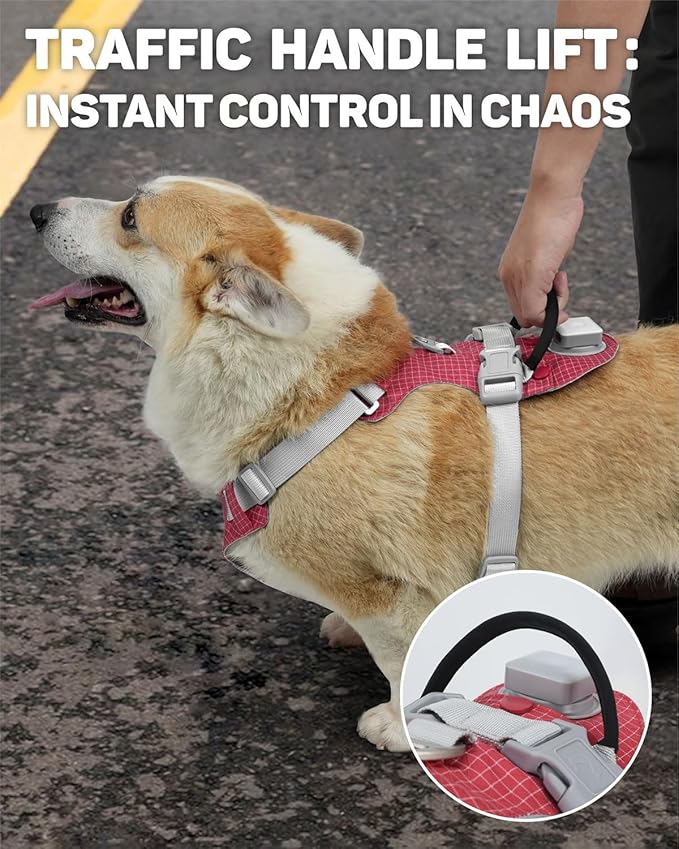 TagME No Pull Dog Harness with 2 Leash Clips,Lightweight & Visible for All-Day Walking,No Choke Pet Vest Includes AirTag Holder for Medium Dogs,Melon Red