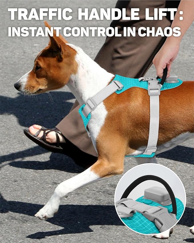 TagME No Pull Dog Harness with 2 Leash Clips,Lightweight & Visible for All-Day Walking,No Choke Pet Vest Includes AirTag Holder for Small Dogs,Teal