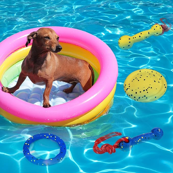 BABORUI Floating Dog Pool Toy – Durable E-TPU Dog Water Toy for Fetch & Chew, Bright Floating Dogs Toys for Pool, Beach & Outdoor Play – Dogs Beach Essentials (Blue Ring & Yellow Plate)