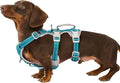 Huntboo No Escape Dog Harness, Escape Proof Harness, Fully Reflective Harness with Padded Handle, Breathable, Durable, Adjustable Vest for Medium Dogs Walking, Training, and Running Gear (Teal,M)