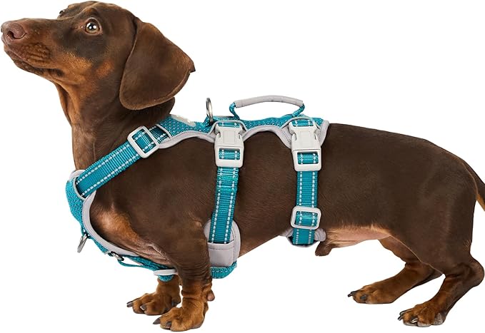 Huntboo Escape Proof Dog Harness, No Pull Reflective Harness with Lift Handle, Adjustable Pet Vest with Front and Back Leash Clips for Small Medium Large Dogs Walking Hiking Training (Teal,XL)