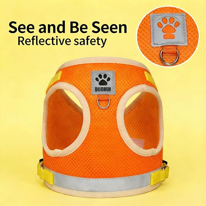 Dog Harness and Leash Set-No Pull No Choke Step-in Pet Harness for All Weather Lightweight Adjustable Cat Harness Breathable Soft Mesh Puppy Vest with Hook & Loop Fastener Buckles D-Rings-Orange-XL