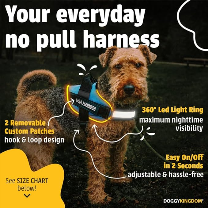 Personalized No Pull 360° LED Dog Harness with Custom Name Patches, USB Rechargeable, Adjustable, Reflective for Night Walks, Rainproof Module with 3 Modes Lasts up to 24h, Red, XL