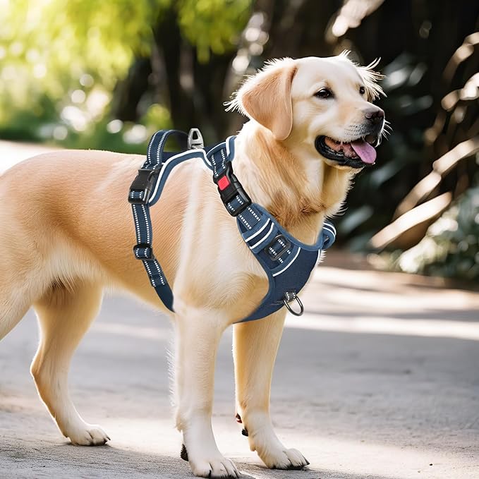 Timos Dog Harness Large Sized, No Pull Pet Harness with Neck Lockable Snap,No Choke Front Clip Dog Reflective Vest,Adjustable Metal Rings 3 Buckles,Easy Control Handle for Large Dogs Royal Blue L