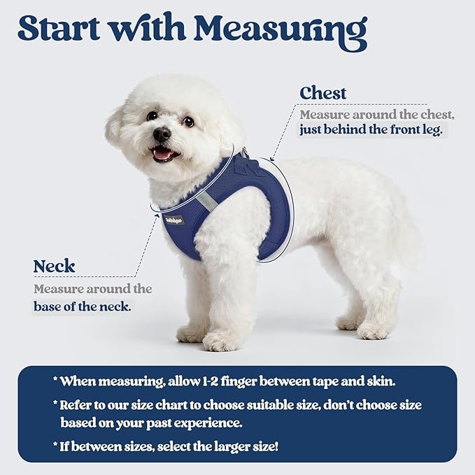 rabbitgoo Dog Harness Small Medium Sized and Leash Set, Step in Soft Light Puppy Vest, Breathable Mesh Pet Harness, Reflective for Safe Outdoor Walking, Navy Blue L