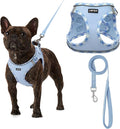 AMTOR Small Dog Harness with Leash Set, No Escape Easy Walk Puppy Harnesses for Training Walking, Step-in Reflective Soft Dogs Vest for XS S Medium Extra-Small Large Sized Dog(M Size,Blue/White)
