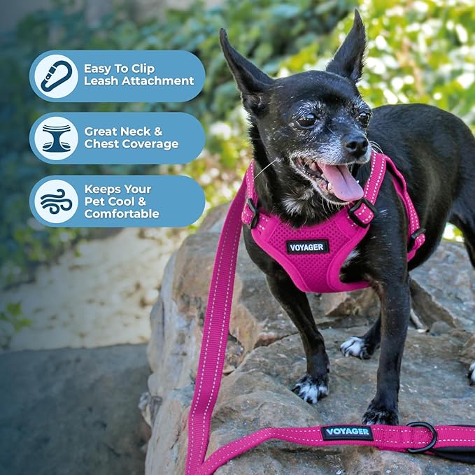 Best Pet Supplies Voyager Mesh Dog Breathable Harness Reflective Stitching, All Weather Adjustable for Walking Training, or Running - Heavy Duty & Durable, Harness Leash Set (Fuchsia), XS