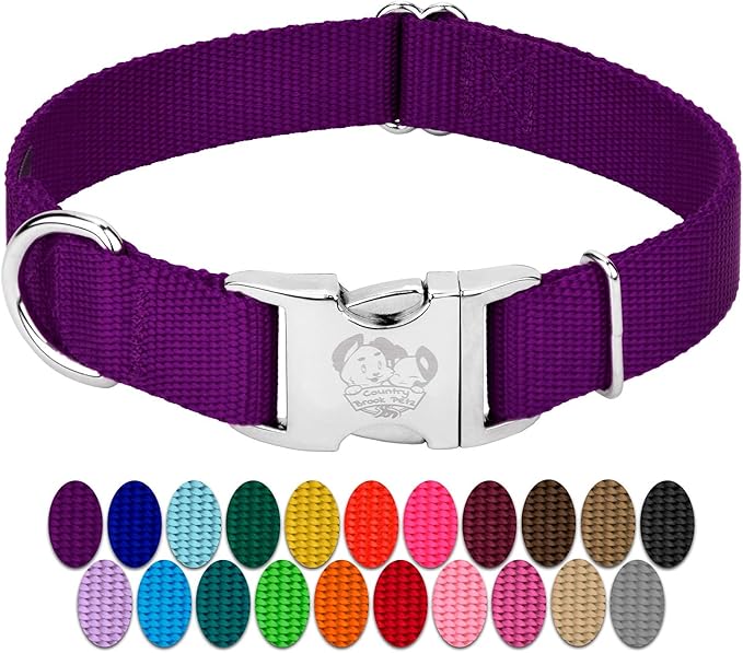 Country Brook Petz - Premium Nylon Dog Collar with Metal Buckle for Small Medium Large Breeds - 10+ Cool Colors (Large, 1 Inch, Purple)