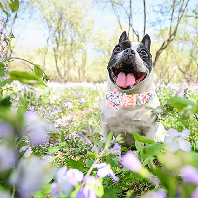 Lionheart glory Dog Collar with Flower Dinosaurs Print Collars for X-Small Dogs, Spring Summer Cute Duty Adjustable Dog Flowers Collar Puppy Collars Bows Pet Gift
