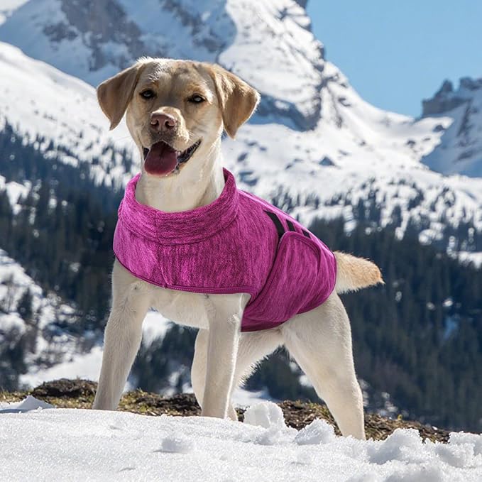 Queenmore Small Dog Sweaters, Soft Fleece Vest Pullover Dog Jacket with Leash Hole, Warm Winter Dogs Clothes Cold Weather Doggy Dachshund Sweater for Small Dogs Cats Boy or Girl (Cationic Berry, XS)