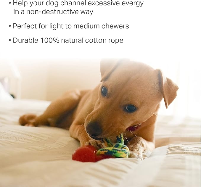 Friends Forever Dog Rope Toy, Tough Dog Chew Toys, Plastic Rubber Durable Puppy Teething Toy, Orange/Banana 2 Piece