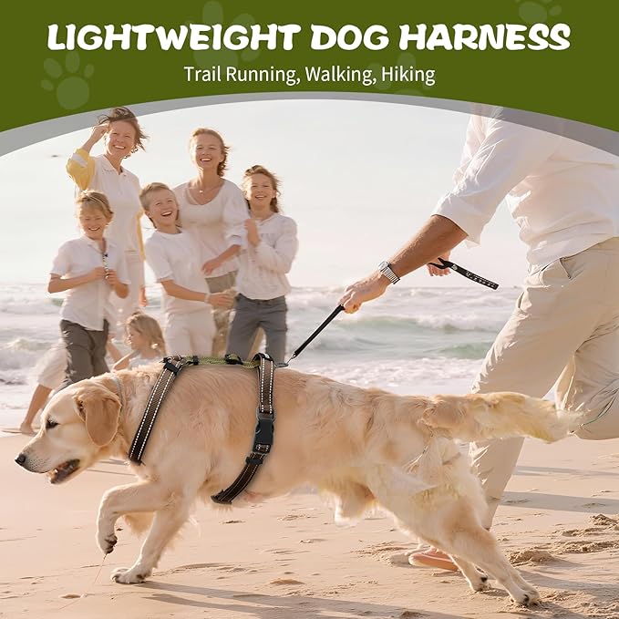 Dog Harness,Adjustable No Pull Dog Harness,Y-Shaped Design,Buckle-Neck Balance Harness with Reflective, Ideal for Dog Training Hiking, Easy Walk Harness,Durable High-Tensile Nylon Blown-L