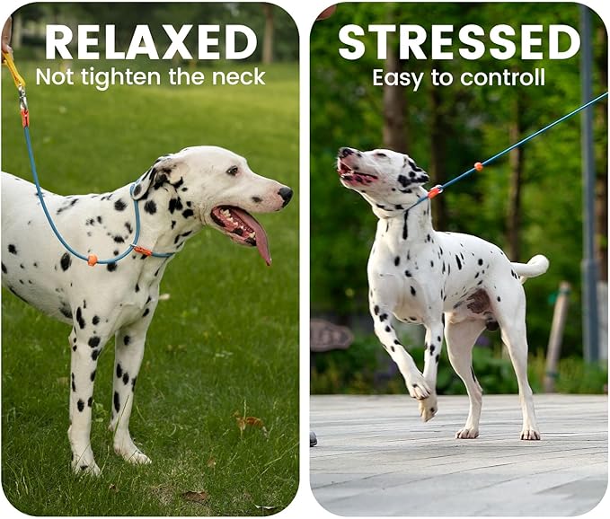 Slip Lead Dog Leash with Double Handles | Reflective Dog Training Leash with 360° Swivel Anti-Tangle | Heavy-Duty Leash and Collar for Large Medium and Small Dogs No-Pull Walking (Multicolor, 5.5FT)