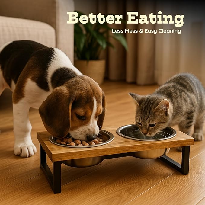 Elevated Dog Bowls, 4.5" Mango Raised Dog Bowl Iron Frame for Small-Med Dogs & Cats with 2 Pcs 32 oz Stainless Steel Pet Dishes, Food & Water 4Cup/0.95L Capacity Nonslip Feeding Station