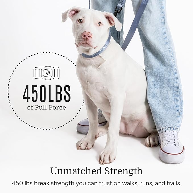 2026 New Edition, Fei & Eve MagEase Dog Collar - Patented Magnetic Buckles | Fur-Safe | Premium 210D Nylon | 450LB Escape-Proof | Adjustable Fit | Medium (Dusk Blue)
