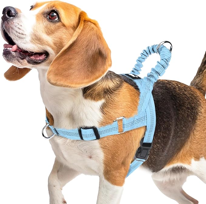 PUPTECK No Pull Dog Harness Small Sized Dog, Adjustable Reflective Pet Vest Harness with Bungee Handle, Escape Proof No Choke Harness for Small Dogs Walking Training, Sky Blue M
