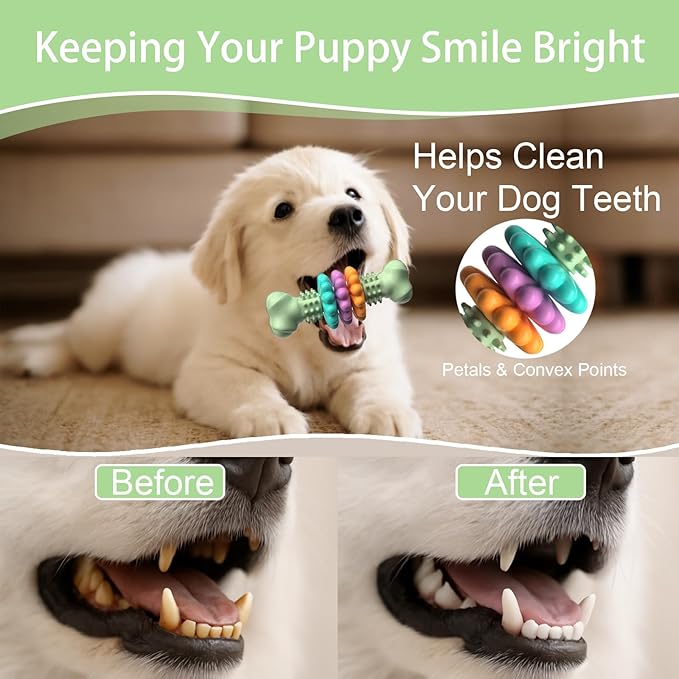 Puppy Chew Toys, Indestructible Dog Toys for Aggressive Chewers - Small & Medium Breed, Durable Rubber Chew Bone Toy for Small Dogs, Puppy Toys for Teething, Anxiety & to Keep Busy