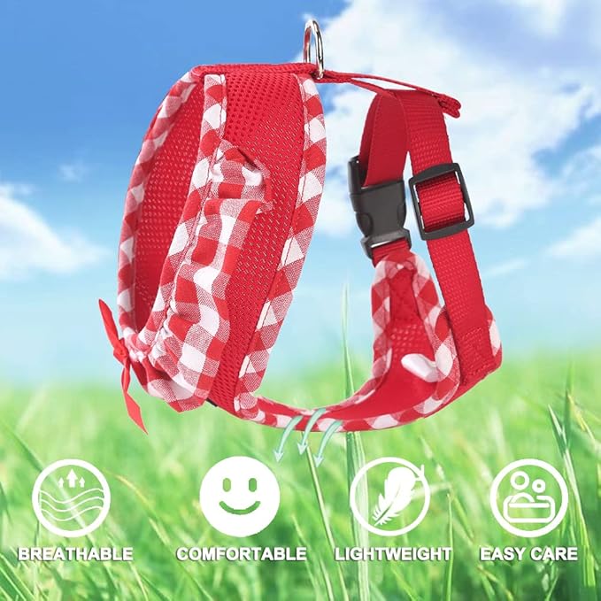SuperBuddy Upgraded Soft Mesh Dog Harness, Super Breathable Lightweight Pet Harnesses for Puppy Dogs Outdoor Walking, Red Dog Harness and Dog Leash Set Packing -Small
