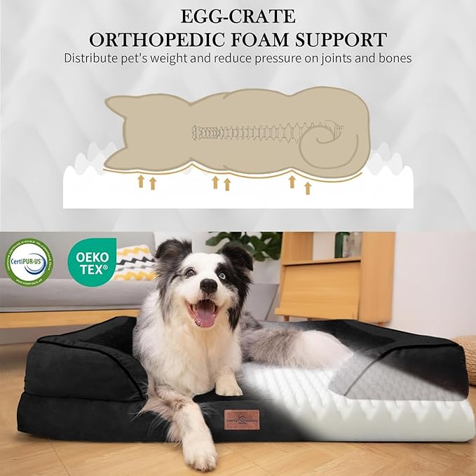 Comfort Expression Orthopedic Dog Bed for Small Dogs 20x14 Inch, Waterproof Supportive Egg Crate Foam Small Pet Bed with Removable Bolsters, Dog Couch with Washable Cover & Non-Slip Bottom, Black