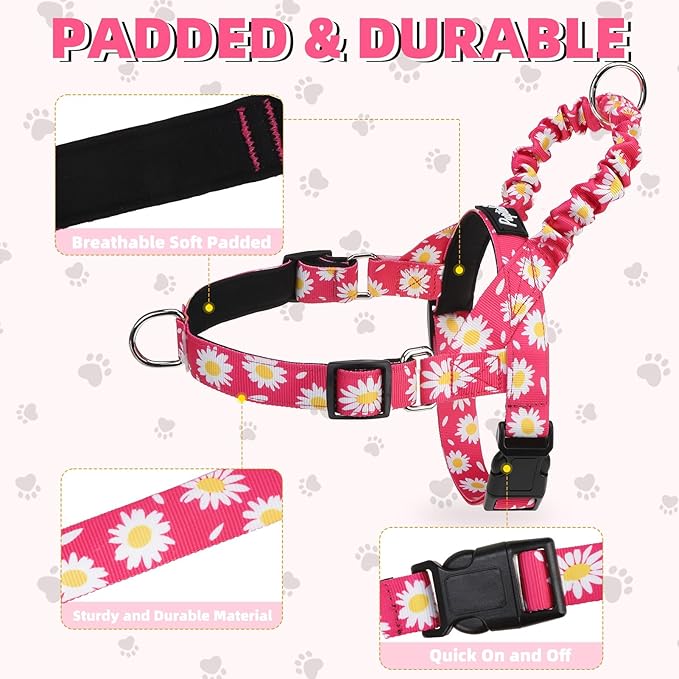 PUPTECK No Pull Dog Harness Small Sized Dog, Adjustable Reflective Pet Vest Harness with Bungee Handle, Escape Proof No Choke Harness for Small Dogs Walking Training, Fuschia Daisy M