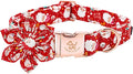 Elegant Little Tail Christmas Dog Collar with Santa Claus, Flowers for Medium Dogs