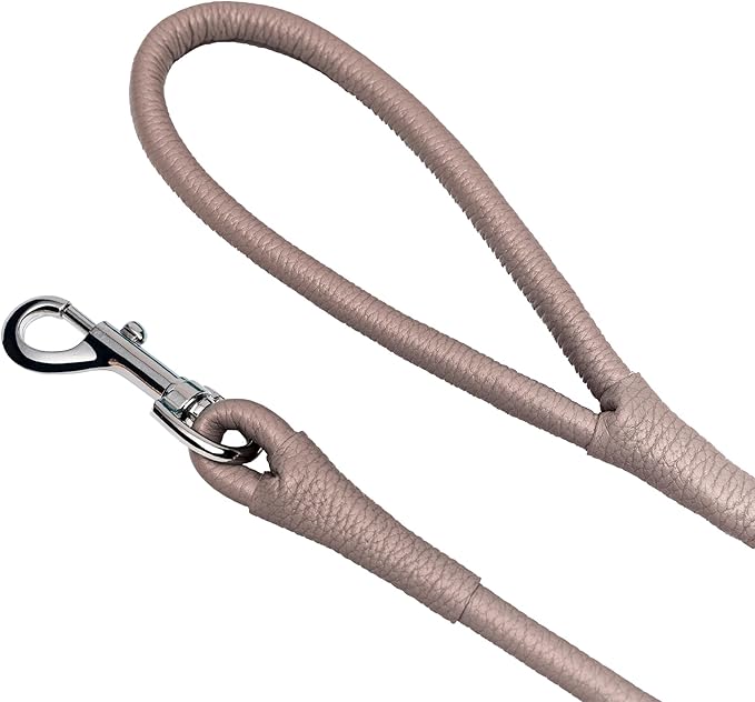 OOPSDOGGY Rolled Leather Dog Lead 6ft Heavy Duty Training Leash for Small Medium Large Dogs & Puppy Black Brown Red (Beige, Small)