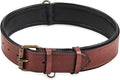 Real Leather Dog Collar Padded Soft Interiors with Premium Vintage Look Handcrafted Heavy Duty with Tag Ring for Small Medium and Large Pets (X-Large (1.75" Wide for 20" - 24" Neck), Oxblood)