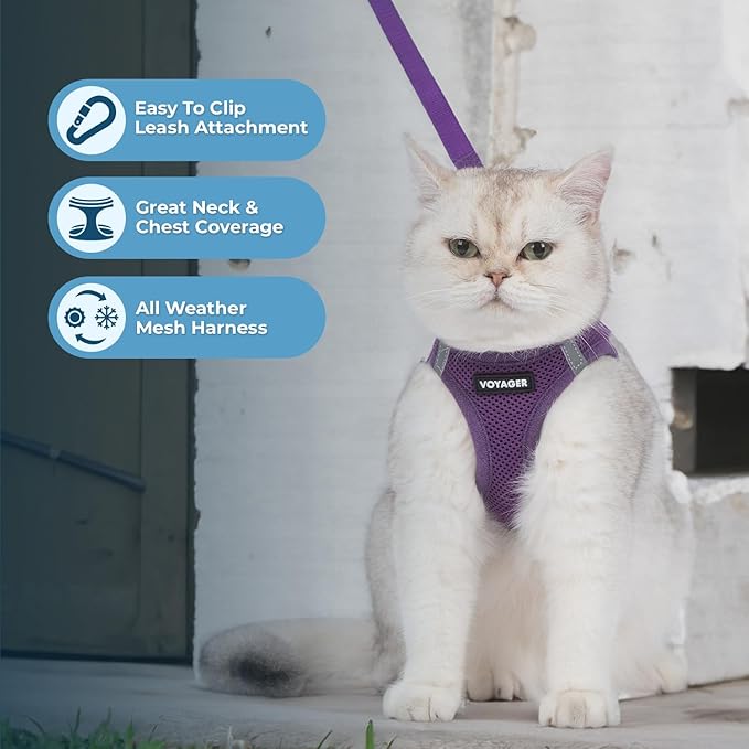 Voyager Step-in Pet Harness - All Weather Mesh, Adjustable Step in Harness for Cats and Dogs by Best Pet Supplies - 307S Purple, XXXS