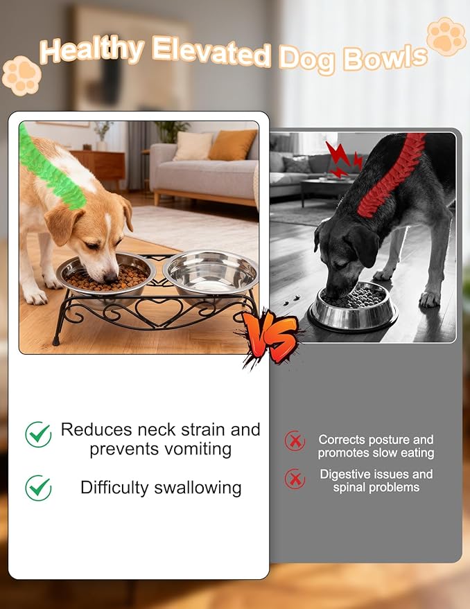 Small Dog Bowls with Metal Stand for Small Breeds Cats and Puppies 3.4 Inch Fixed Height Elevated Feeder with 2 Removable Stainless Steel Bowls