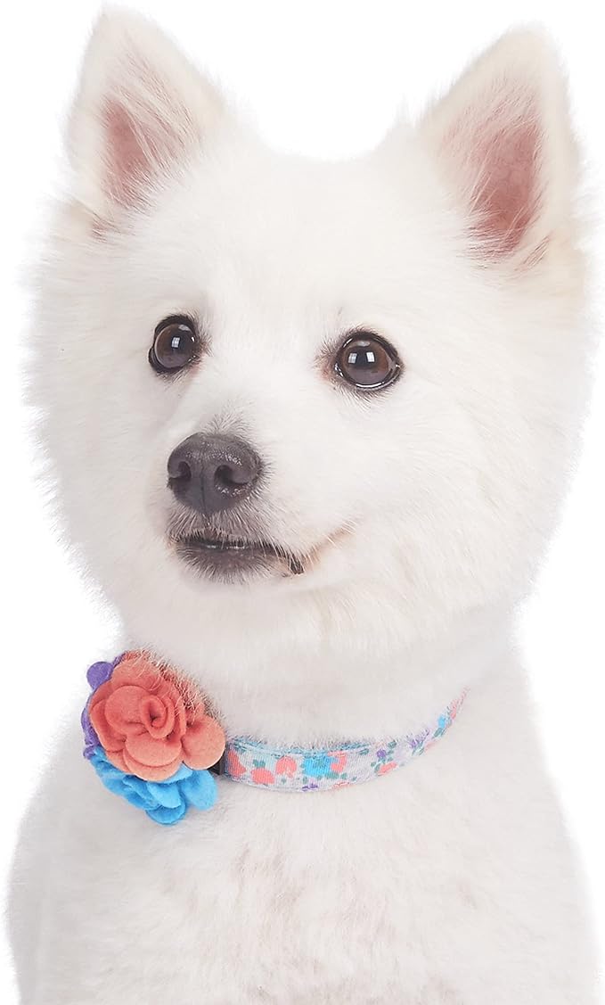 Blueberry Pet Made Well Lovely Floral Print Adjustable Dog Collar in Lavender with Detachable Flower Accessory, X-Small, Neck 7.5"-10"