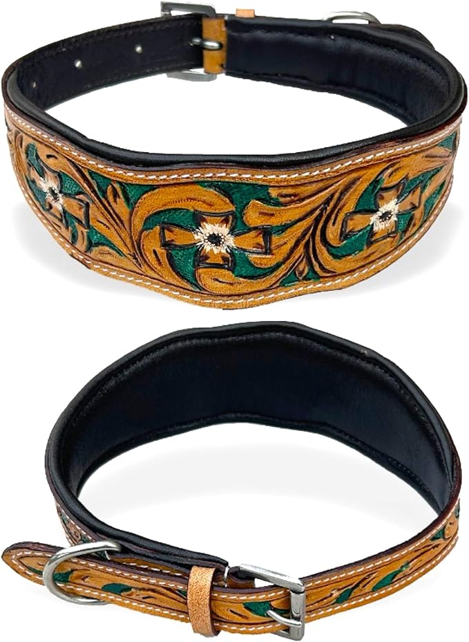 Majestic Ally Leather Dog Collar with Adjustable, Padded Fit for Walking, Hiking, and Running, Designer Western Wear for Puppies, Fancy Colors (Hunter Green - Natural, Large)