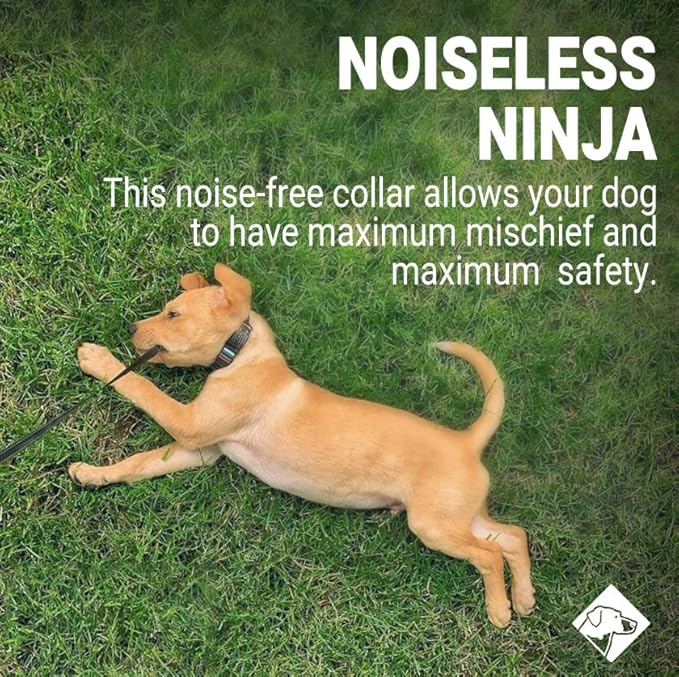 Personalized Dog Tags by ROAD iD | Silent & Durable | Jingle-Free Slide-On Design | Stainless Steel Name Tag Fits Any Collar | Multiple Colors & Sizes for Your Pet's Unique Style