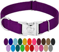 Country Brook Petz - Premium Nylon Dog Collar with Metal Buckle for Small Medium Large Breeds - 10+ Cool Colors (Medium, 3/4 Inch, Purple)