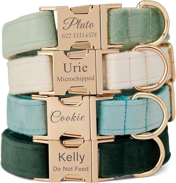 Personalized Velvet Dog Collar with Name & Phone Custom Dog Collar Personalized Name and Phone Number, Custom Collar Leash for Dogs, Engraved Metal Buckle Collar (Style - C)